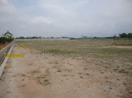 4) TUDA Approved Townships in Tirupat.JPG